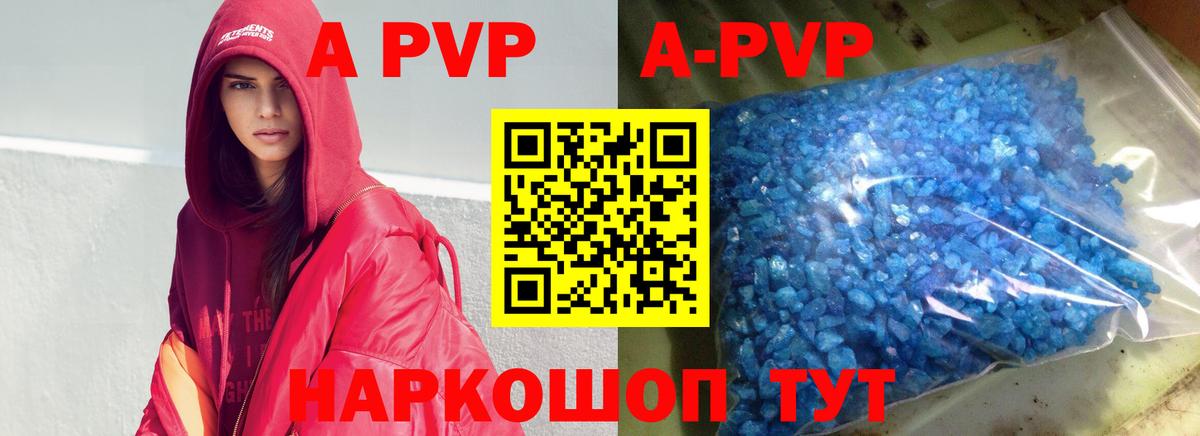 A PVP СК Нижний Новгород