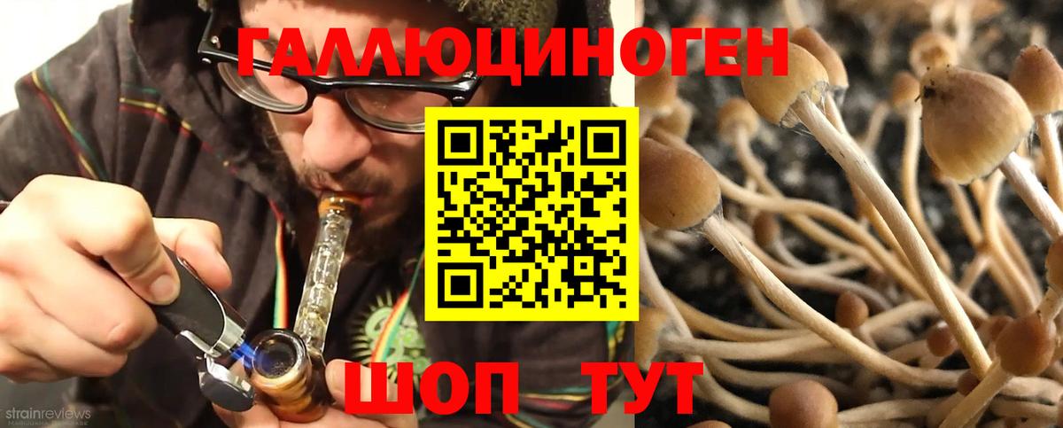 Псилоцибиновые грибы GOLDEN TEACHER Нижний Новгород